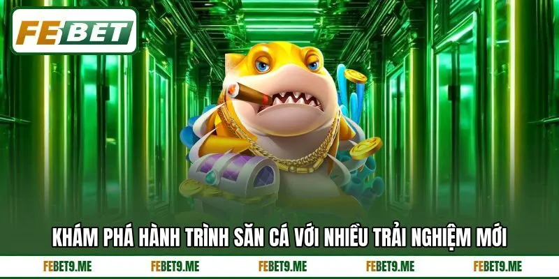 Khám phá hành trình săn cá với nhiều trải nghiệm mới Khám phá hành trình săn cá với nhiều trải nghiệm mới