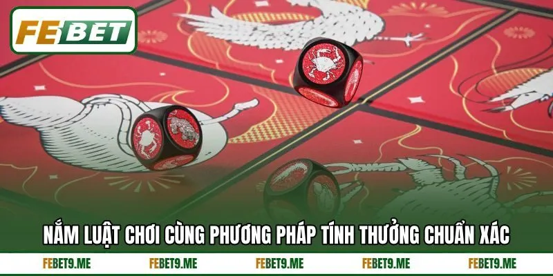 Nắm luật chơi cùng phương pháp tính thưởng chuẩn xác Nắm luật chơi cùng phương pháp tính thưởng chuẩn xác